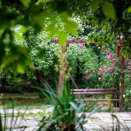 Green Apartment - Top Location, Near City Center! Σόφια Εξωτερικό φωτογραφία