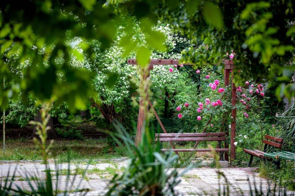 Green Apartment - Top Location, Near City Center! Σόφια Εξωτερικό φωτογραφία